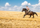 Horseback Riding in Style