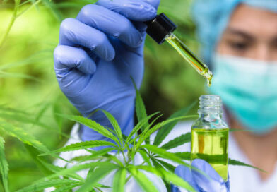 Be Aware Of the Major Types of the CBD Edibles!